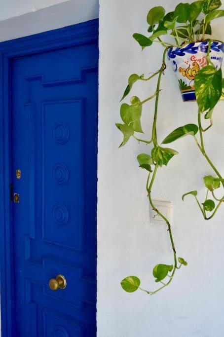 Appartamento La Casa Azul